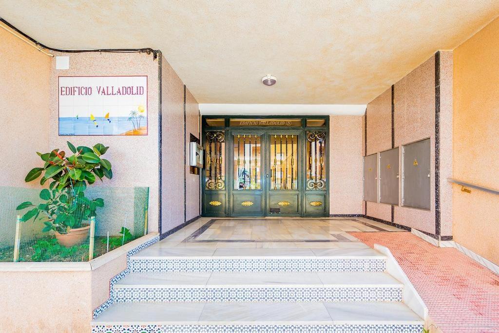 Amarillo Soleado Lejlighed Torrevieja Eksteriør billede